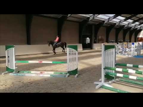 Innovation and Van Gogh training at home