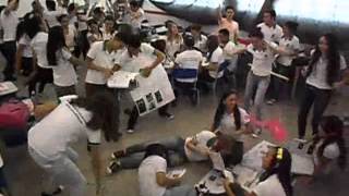 preview picture of video 'Videoarte - Harlem Shake - Releitura educativa'