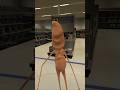 Marcus is still looking for Jimbo James #roflgator #vrchat #vrchatmemes #funnymoments #funny