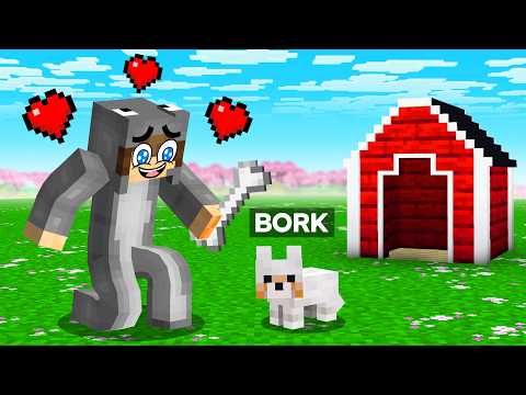 Finding BABY BORK in Minecraft Cherry Island!