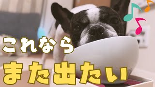 頑張ったからフレブルにご褒美あげてみた♪
