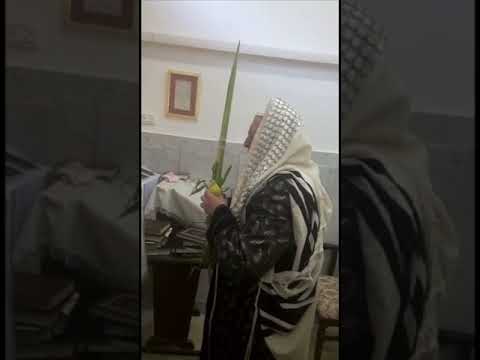 Stropkover Rebbe @ Nanuim - Sukkos 2017