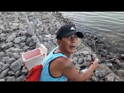 habang namimingwit may tumawid na aso sa ilog...nakakuha si sir melbert ng malaking talakitok