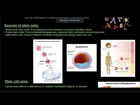 Gr 12 Life Sciences Genetics and Inheritance Part 10 Genetic Engineering