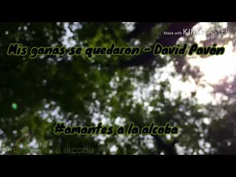 Mis ganas se quedaron - David Pavón + Letra