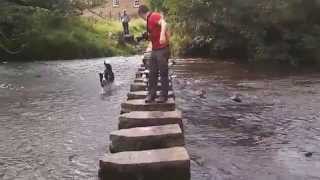 preview picture of video 'Zion stepping on the Lealholm stepping stones'