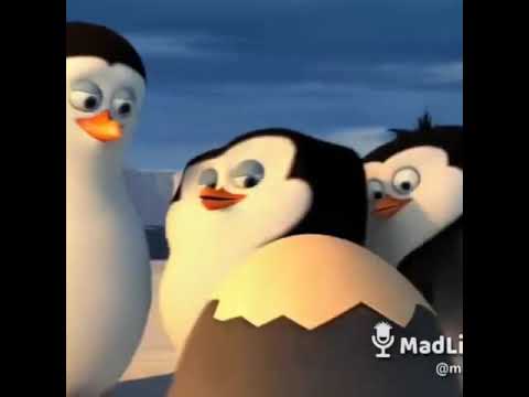 Madagascar Penguins character 