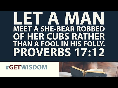It's Better To Meet A Bear Than A Fool | Proverbs 17:12 | Get Wisdom