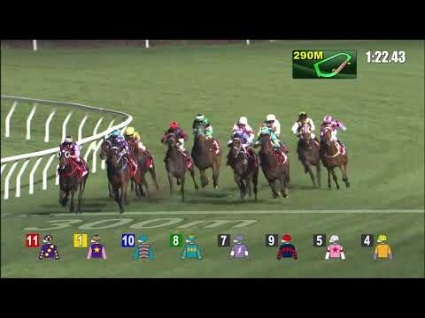 15/12/2021 (259) Incanto Prepared - J Moreira