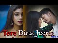 Tere Bina Jeena Yaara 2 Heart Touching Love Story Bewafa New Hindi Song Ft Puja Samrat