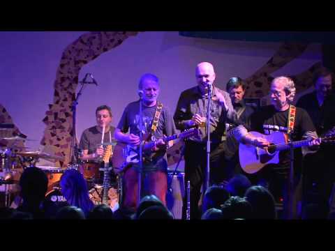 Hibaj - Learning To Fly (Tom Petty cover) | HIBAJ - 30th anniversary, 12