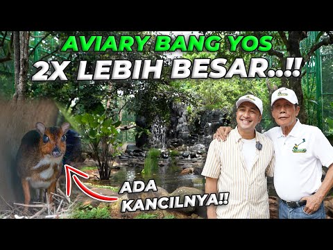 PERESMIAN AVIARY BANG YOS .! 2X LIPAT DARI AVIARY GW..!