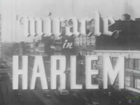 Miracle in Harlem (1948, trailer) [Sheila Guyse, Hilda Offle, Stepin Fetchit]