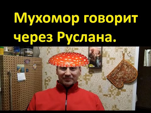 Мухомор говорит через Руслана. Руслан шаманит.