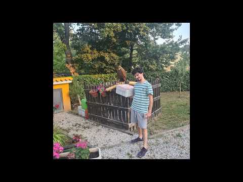 Trucebaldazzi x Pop Smoke x Central Cee x Kay Flock x Dougie B - La Mia Ex RMX