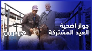 هل يجوز الاشتراك في أضحية العيد.. شاهد إجابات الشارع ورأي باحث في العلوم الشرعية thumbnail