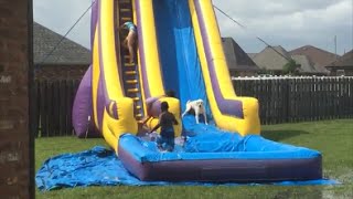 Dog loves slide