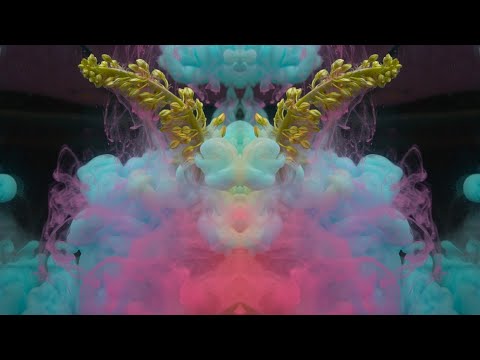 Elephant Heart - Behke (Official Music Video) feat. Madhu Kumari