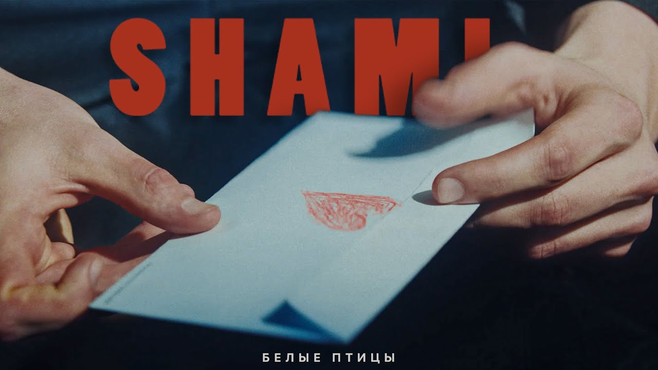 Shami — Белые птицы