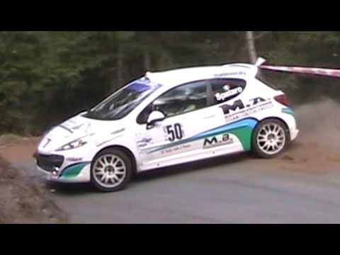 TESTACODA al tornante | Rally della Valle d'Aosta 2010 | VideoDema