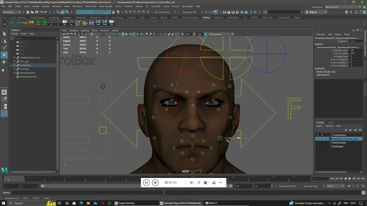 Male Base Muscle Rig 3D Model