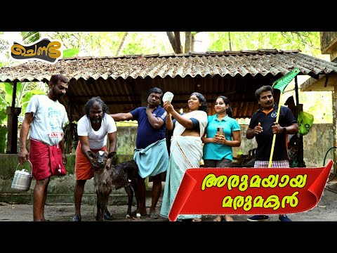 അരുമയായ മരുമകൻ | SAJAN PALLURUTHY | CHENDA | COMEDY | WEBSERIES | 2023 |