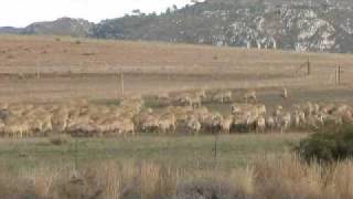 preview picture of video 'Riviersonderend - Overberg, South Africa'