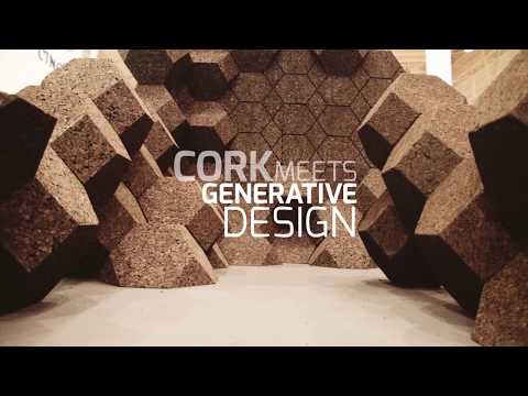 Видеообзор