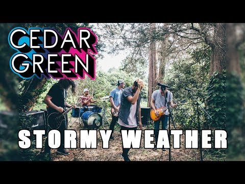 Cedar Green - Stormy Weather (Official Music Video)
