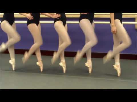 GORÕ LANA & LOWK - DOLPHINS