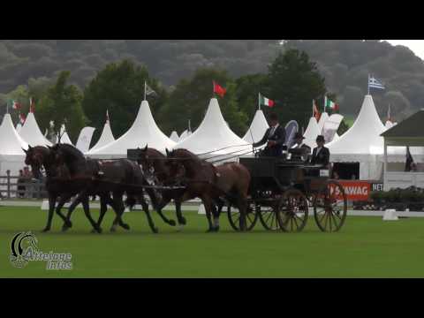 Rainer Duen   Ger   CAIO Aachen 2017   Dressage Day 1   Test 3CH4