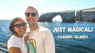 Visiting the Channel Islands | Van Vlog #15