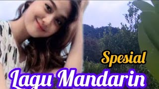 Download lagu ALBUM DANGDUT REMIX MANDARIN PILIHAN ( terang bulan digunung ) audio jernih makyussss  mp3