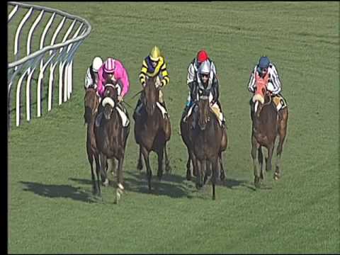 Galoppo 08/03/2017 - 2ª corsa