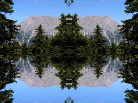 Psy-Phy 6* - Rollercoaster