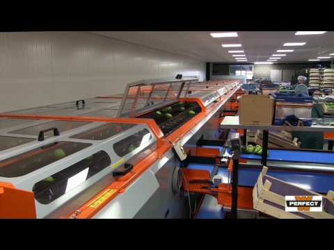 Perfect Uni-Grader; state of the art sorting machine for delicate produce as apples and pears