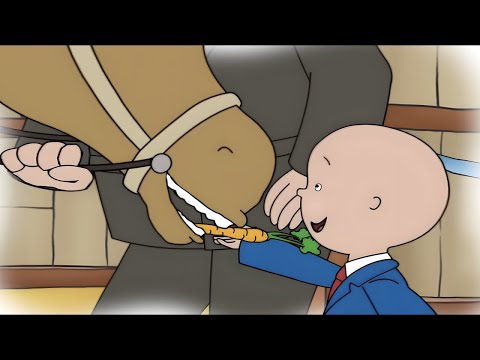 Caillou ontmoet een paard | Caillou Nederlands - WildBrain