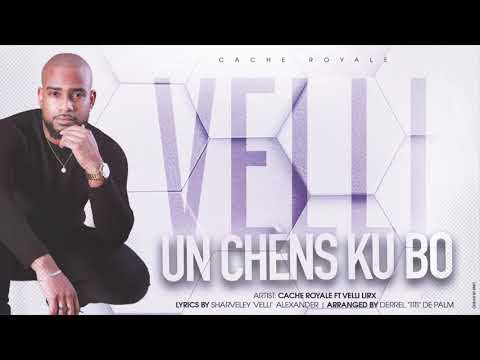 UN CHENS KU BO - CACHE ROYALE FT VELLI LIRX
