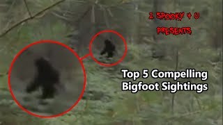 5 Compelling Bigfoot videos