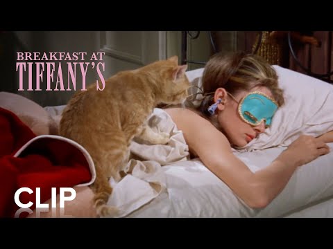 "Waking Up" Clip
