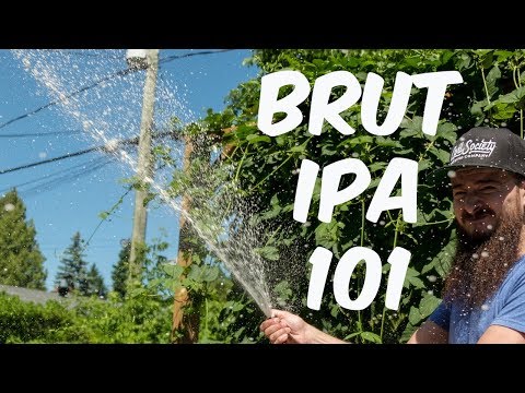 What's a Brut IPA?