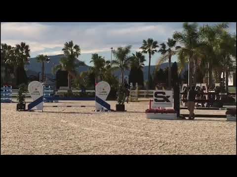 Poden Farm’s F One USA & Ben Maher second place GP Met Tour