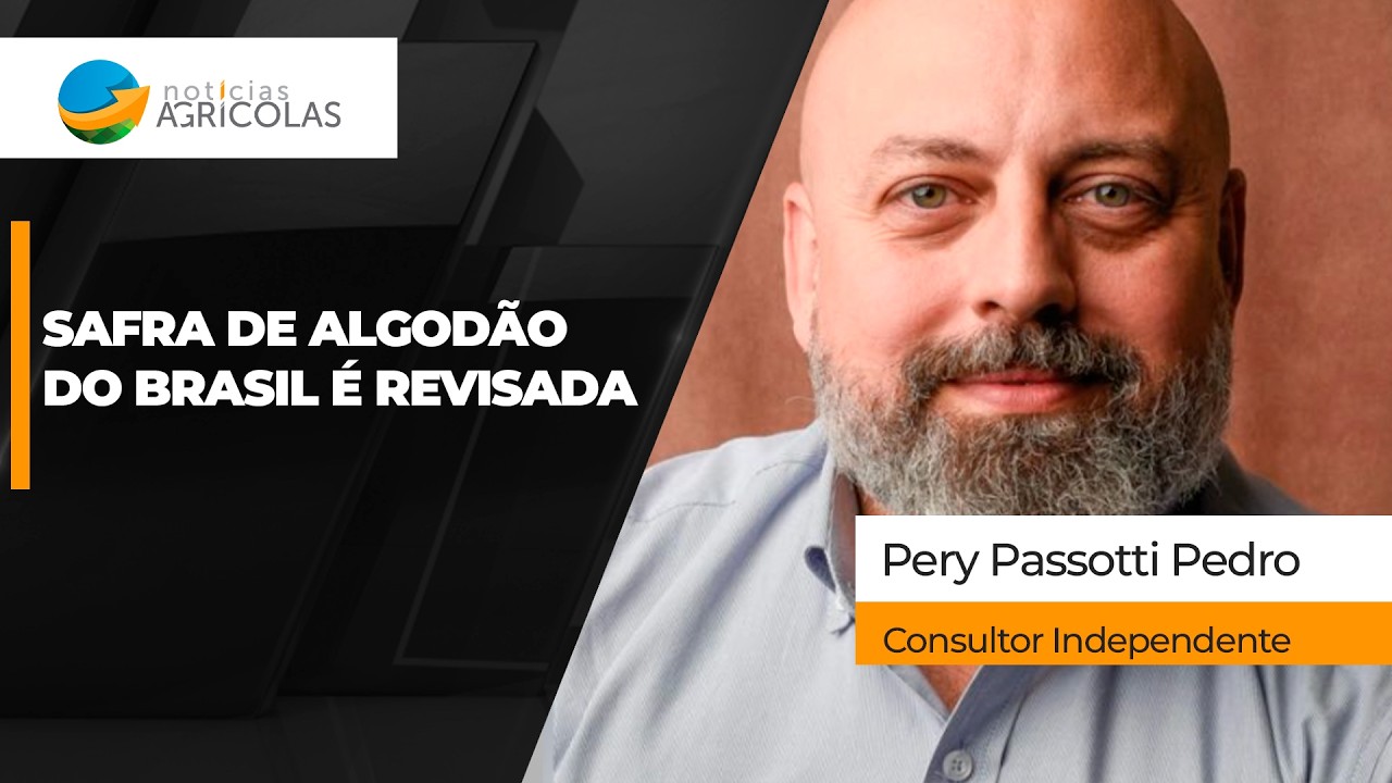MERCADO DO ALGODÃO - EDIÇÃO 22/10/2026