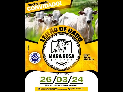 MARA ROSA LEILÕES - GOIÁS - LEILÃO GADO DE CORTE 26/03/2024
