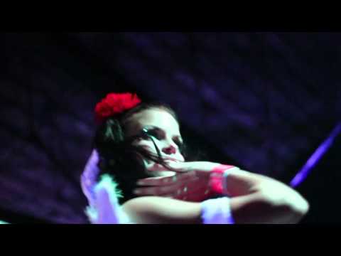 Czech House Paradise 2012 - Aftermovie trailer