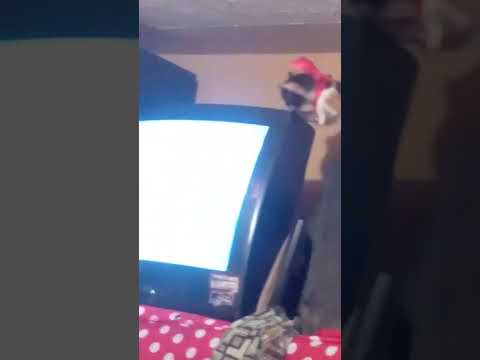 18 de octubre de 2022