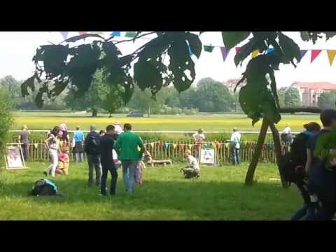 Galopprennbahn Scheibenholz, Auftaktrennen, Leipzig, 01.05.2014