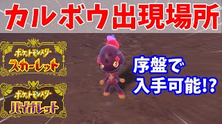 【ポケモンSV】カルボウの出現場所と入手方法を解説【スカーレットバイオレット】