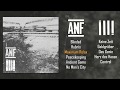 ANF Ill Ill Split 7 FULL ALBUM 2019 Powerviolence Fastcore