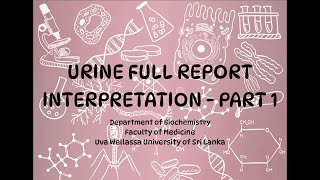 Urine Full Report Interpretation - Part 1
